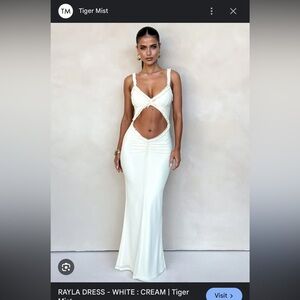 Never worn Rayla Tiger Mist dress (accidentally ordered two) SOLD OUT